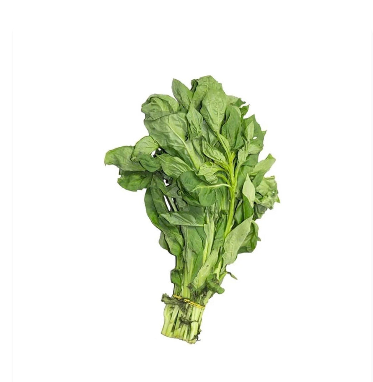 Soko leaf