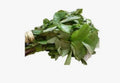 Oha leaf