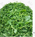 Box of WATERLEAF