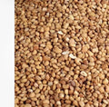 Honey beans 4kg