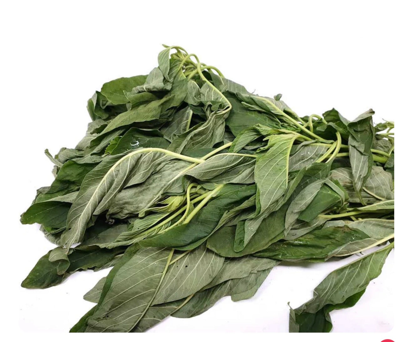Tete leaf 1 bunch