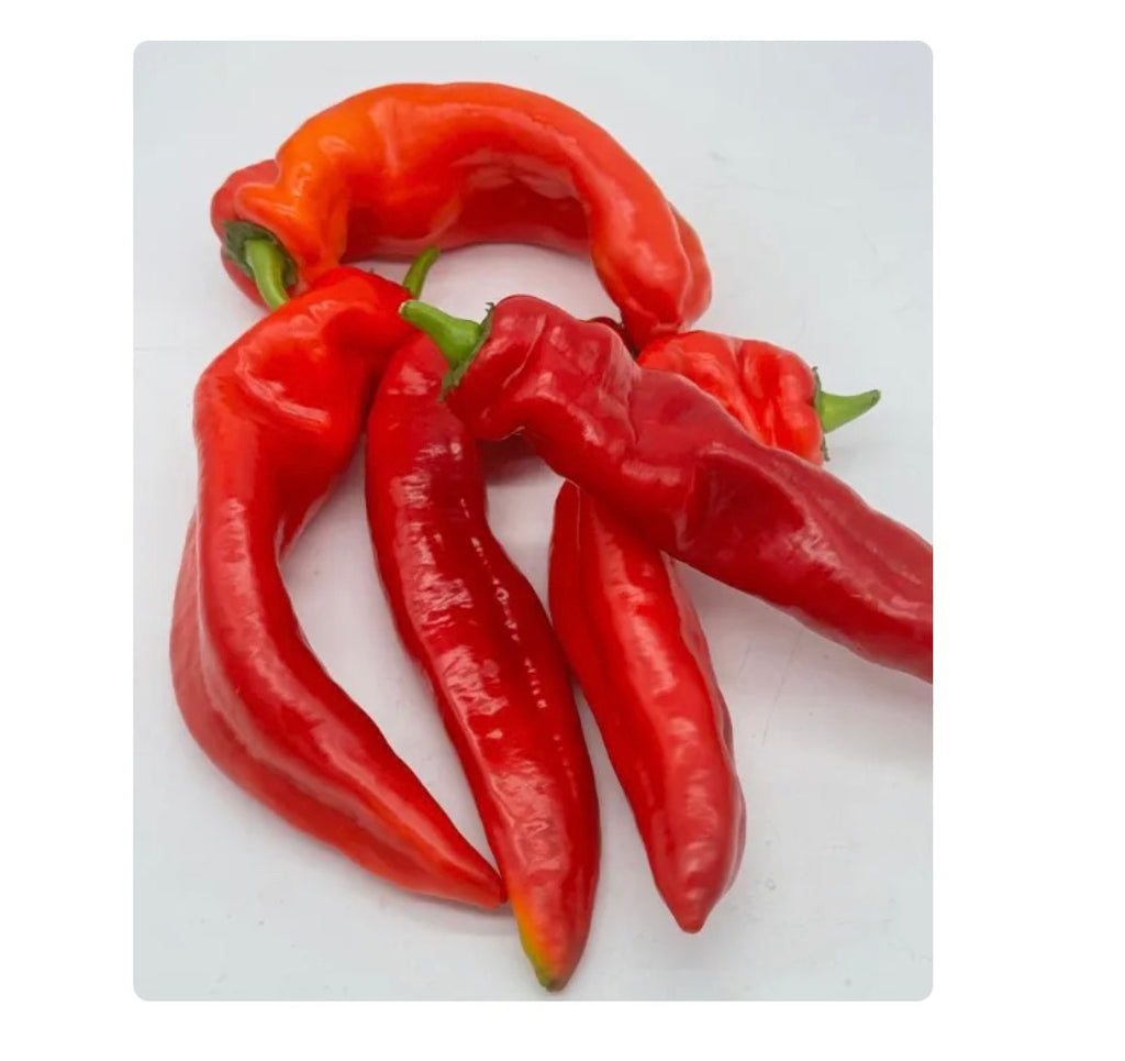 Box Red long pepper