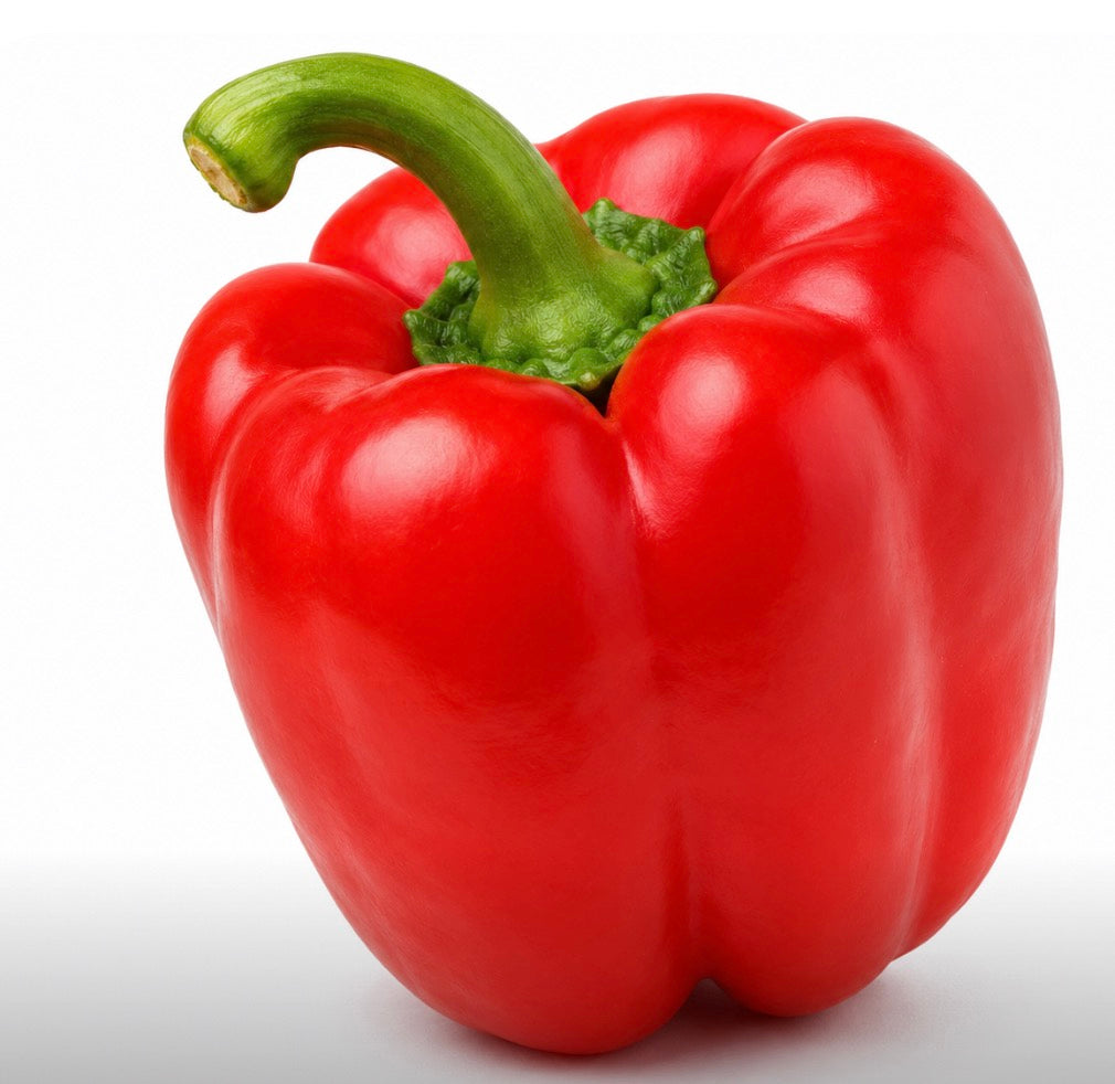 BOX Ball Red pepper