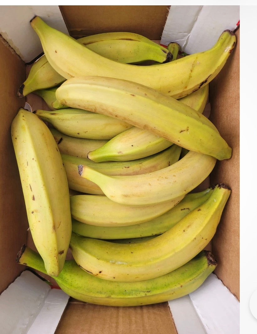 Box of Riped plantain