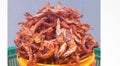 Dried Big prawns pack
