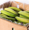 Box of unripe/green plantain