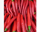 Box Red finger pepper