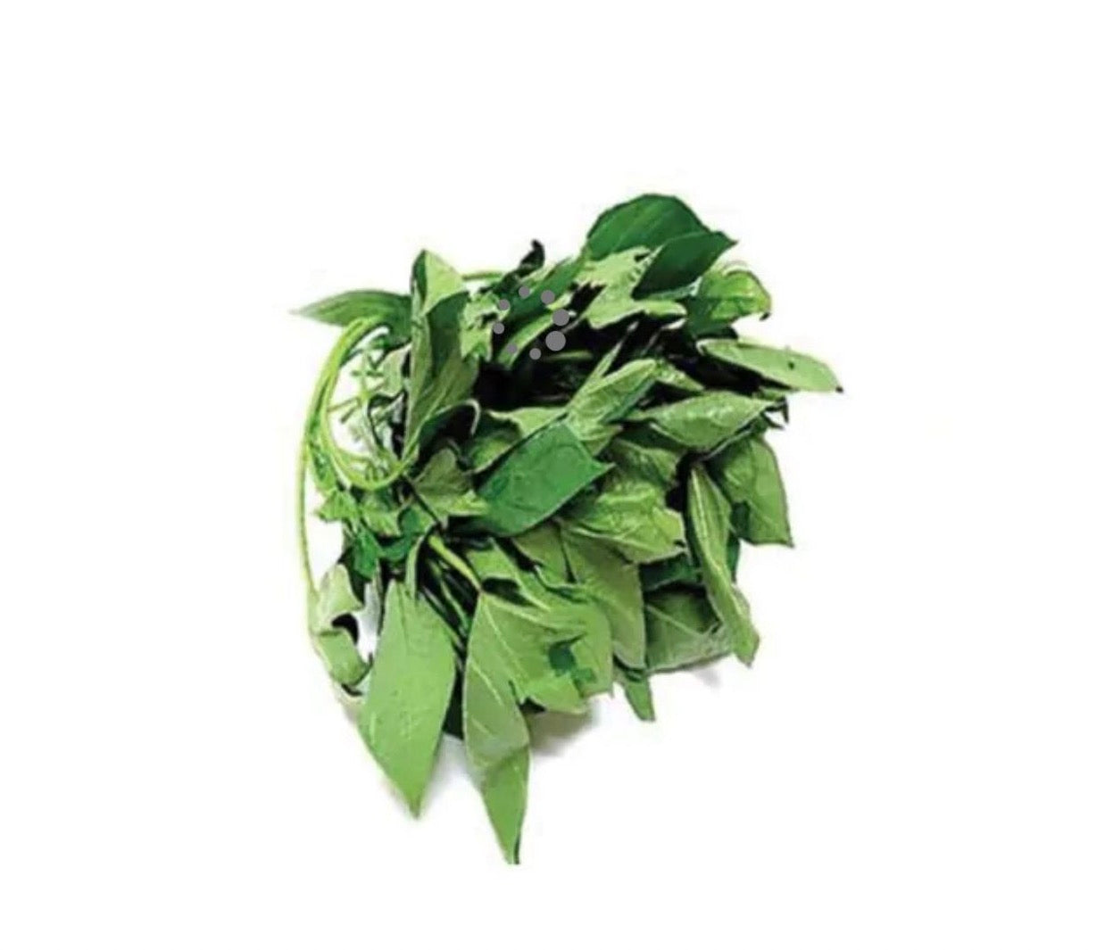 Bitterleaf