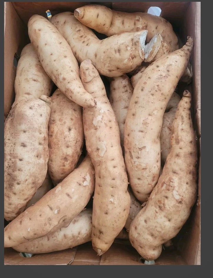 Box Uganda sweet potato