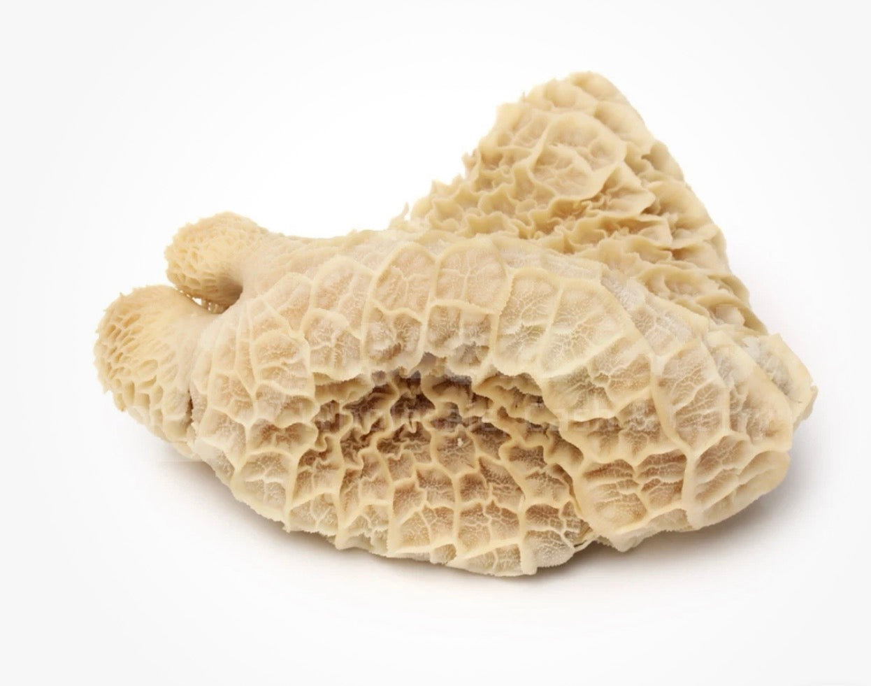 Honey comb saki 2kg