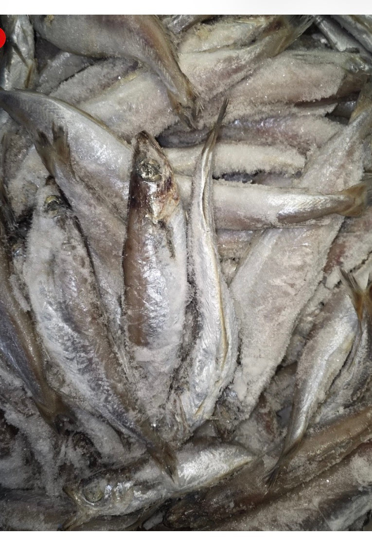 Frozen panla egun 5kg