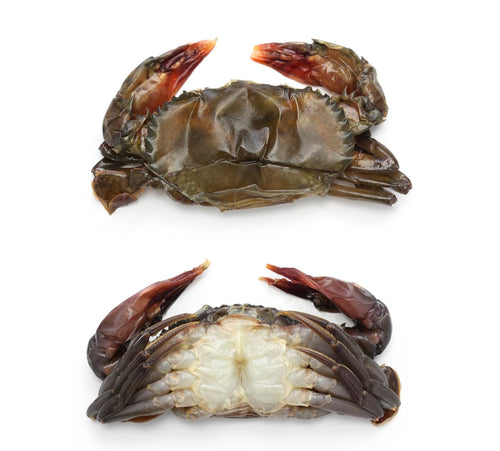 Blue swimming crab 750g