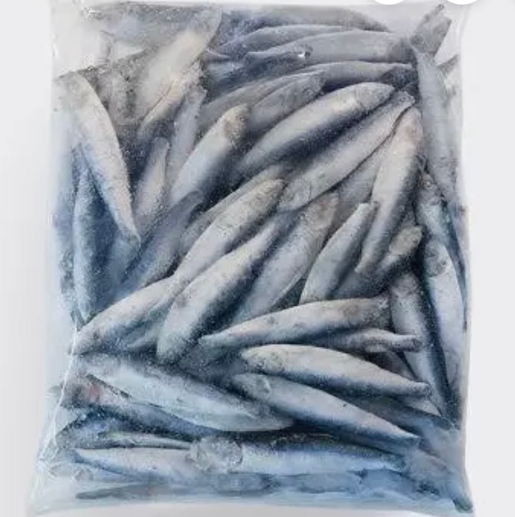 Frozen sprat 1kg bagged