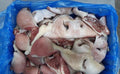 Cow snout 5kg