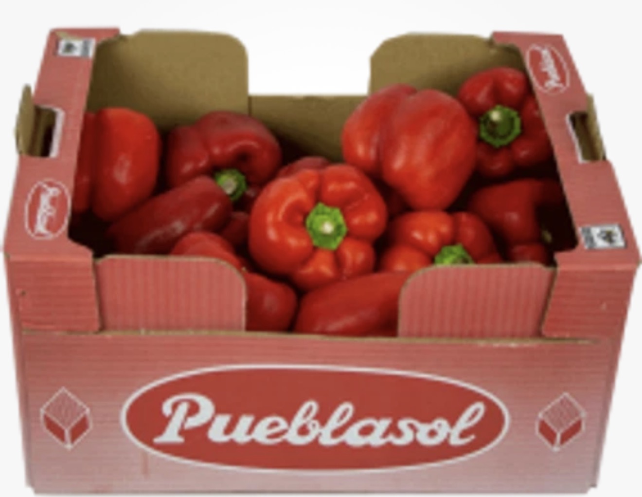 BOX Ball Red pepper